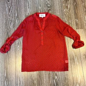 Alice Blue Sheer Top